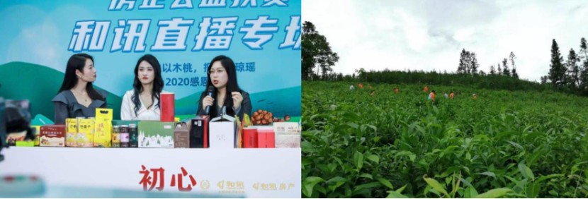 1624884747542291.png 圖片 13.png